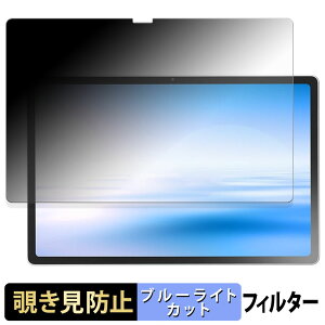 NEC LAVIE Tab T12N T1275/LAS ( 12.1�^ 2026�N�t���f�� ) �y 180�x �z �`�����h�~ �t�B���� �u���[���C�g�J�b�g �A���`�O���A ���{��