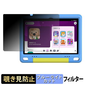 WINMIQ P10K �y 180�x �z �`�����h�~ �t�B���� �u���[���C�g�J�b�g �A���`�O���A ���{��