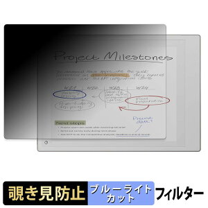 �y7/26 1:59�� �|�C���g2�{�z reMarkable Paper Pro �y 180�x �z �`�����h�~ �t�B���� �u���[���C�g�J�b�g �A���`�O���A ���{��