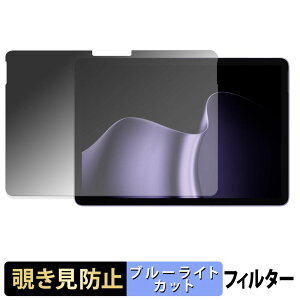 �y���������}���\���|�C���g2�{�z Microsoft Surface Pro 12 �C���` ( ��2���� ) �y 180�x �z �`�����h�~ �t�B���� �u���[���C�g�J�b�g �A���`�O���A ���{��