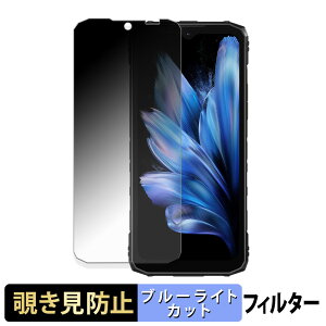 �y�|�C���g2�{�z DOOGEE Blade10 / Blade10 Ultra / Blade10 Pro �y 180�x �z �`�����h�~ �t�B���� �u���[���C�g�J�b�g �A���`�O���A ���{��