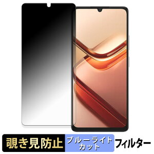 【ポイント2倍】 DOOGEE Note 58 / 58 Pro 【 180度 】 覗き見防止 フィルム ブルーライトカット アンチグレア 日本製