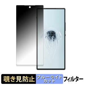 【ポイント2倍】 Nubia REDMAGIC 10 Air ( インカメ穴有り ) 【 180度 】 覗き見防止 フィルム ブルーライトカット アンチグレア 日本製