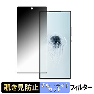 【ポイント2倍】 Nubia REDMAGIC 10 Air ( インカメ穴有り ) 【 180度 】 覗き見防止 フィルム ブルーライトカット アンチグレア 日本製