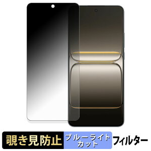 OnePlus Nord CE5 �y 180�x �z �`�����h�~ �t�B���� �u���[���C�g�J�b�g �A���`�O���A ���{��