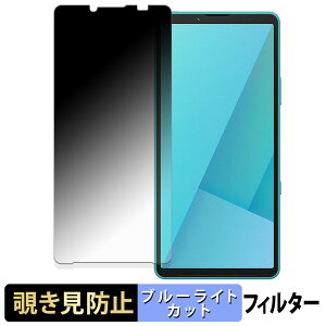 【ポイント2倍】 SONY Xperia 10 VII 【 180度 】 覗き見防止 フィルム ブルーライトカット アンチグレア 日本製