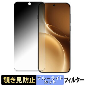 vivo X300 Pro �y 180�x �z �`�����h�~ �t�B���� �u���[���C�g�J�b�g �A���`�O���A ���{��
