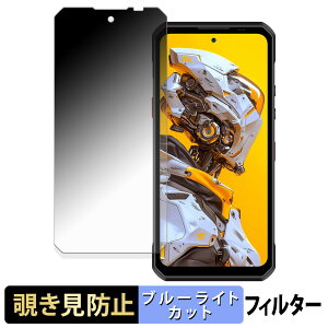 �y�|�C���g2�{�z OUKITEL WP60 5G �y 180�x �z �`�����h�~ �t�B���� �u���[���C�g�J�b�g �A���`�O���A ���{��