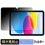Apple iPad ( 第10世代 ) 2022 10.9インチ 【 180度 】 覗き見防止 フィルム ブルーライトカット アンチ…