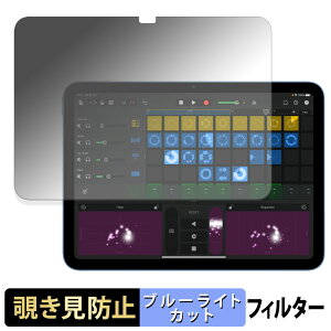 Apple iPad ( 第11世代 ) 2025 11インチ 【 180度 】 覗き見防止 フィルム ブルーライトカット アンチグレア 日本製