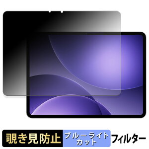�y�|�C���g2�{�z OPPO Pad 5 ( OPD2506 ) �y 180�x �z �`�����h�~ �t�B���� �u���[���C�g�J�b�g �A���`�O���A ���{��