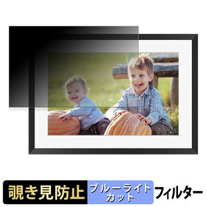 �y�|�C���g2�{�z KODAK RCF-1005P �y 180�x �z �`�����h�~ �t�B���� �u���[���C�g�J�b�g �A���`�O���A ���{��