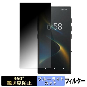 FiiO M33 R2R �y 360�x �z �`�����h�~ �t�B���� �u���[���C�g�J�b�g ���{��