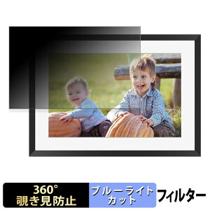 �y�|�C���g2�{�z KODAK RCF-1005P �y 360�x �z �`�����h�~ �t�B���� �u���[���C�g�J�b�g ���{��