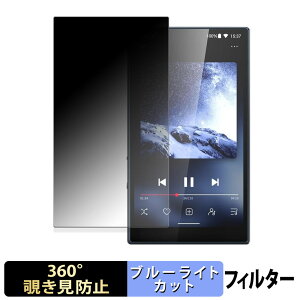 �y�|�C���g2�{�z FIIO M21 �y 360�x �z �`�����h�~ �t�B���� �u���[���C�g�J�b�g ���{��