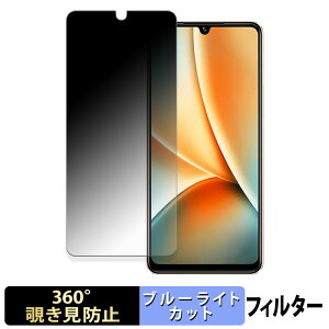 �y�|�C���g2�{�z vivo Y100 �O���[�o���� �y 360�x �z �`�����h�~ �t�B���� �u���[���C�g�J�b�g ���{��