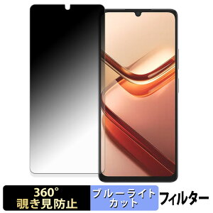 【ポイント2倍】 DOOGEE Note 58 / 58 Pro 【 360度 】 覗き見防止 フィルム ブルーライトカット 日本製