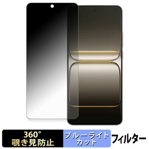 OnePlus Nord CE5 �y 360�x �z �`�����h�~ �t�B���� �u���[���C�g�J�b�g ���{��
