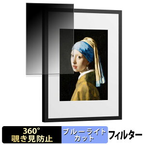 SwitchBot AI�A�[�g�L�����o�X 13.3�C���` �y 360�x �z �`�����h�~ �t�B���� �u���[���C�g�J�b�g ���{��