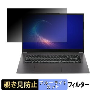 THIRDWAVE DX-17RP5A �`�����h�~ �v���C�o�V�[�t�B���^�[ �y �^�u�E�S���V�[���� �z �u���[���C�g�J�b�g �ی�t�B���� ���˖h�~
