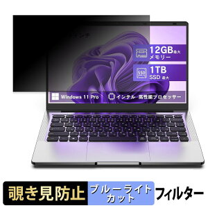 VETESA 14Q8VSM8128 �`�����h�~ �v���C�o�V�[�t�B���^�[ �y �^�u�E�S���V�[���� �z �u���[���C�g�J�b�g �ی�t�B���� ���˖h�~
