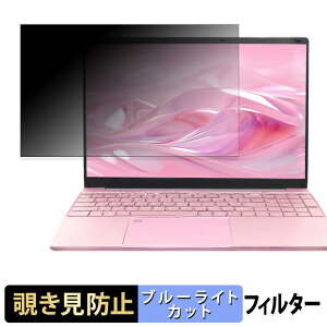 �y�|�C���g2�{�z BINTEC JCS-N95-4K-15.6 �`�����h�~ �v���C�o�V�[�t�B���^�[ �y �^�u�E�S���V�[���� �z �u���[���C�g�J�b�g �ی�t�B���� ���˖h�~