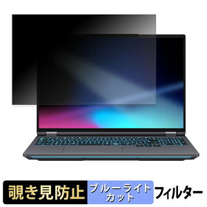 THIRDWAVE GALLERIA NMC9L-R58-H6 �`�����h�~ �v���C�o�V�[�t�B���^�[ �y �^�u�E�S���V�[���� �z �u���[���C�g�J�b�g �ی�t�B���� ���˖h�~