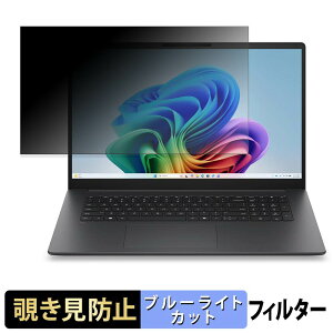 �y6/26 1:59�� �|�C���g2�{�z HP OmniBook 3 17-df �`�����h�~ �v���C�o�V�[�t�B���^�[ �y �^�u�E�S���V�[���� �z �u���[���C�g�J�b�g �ی�t�B���� ���˖h�~