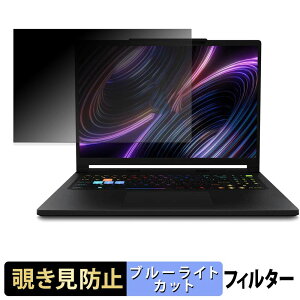 MSI Raider A16 HX B8W �`�����h�~ �v���C�o�V�[�t�B���^�[ �y �^�u�E�S���V�[���� �z �u���[���C�g�J�b�g �ی�t�B���� ���˖h�~