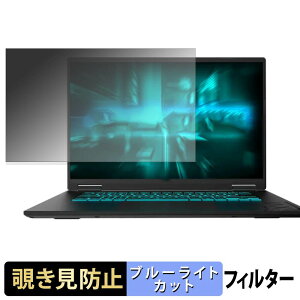 �y���������}���\���|�C���g2�{�z GIGABYTE GAMING A16 GA6EH �V���[�Y �`�����h�~ �v���C�o�V�[�t�B���^�[ �y �^�u�E�S���V�[���� �z �u���[���C�g�J�b�g �ی�t�B���� ���˖h�~