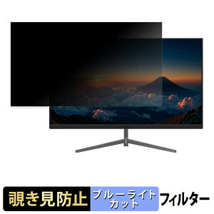 JAPANNEXT JN-i215FHD-C6 �`�����h�~ �v���C�o�V�[�t�B���^�[ �u���[���C�g�J�b�g �ی�t�B���� �A���`�O���A �^�u�E�S���V�[����