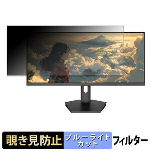 JAPANNEXT JN-IPS29G200WF / JN-IPS29G200WF-HS �`�����h�~ �v���C�o�V�[�t�B���^�[ �u���[���C�g�J�b�g �ی�t�B���� �A���`�O���A �^�u�E�S���V�[����