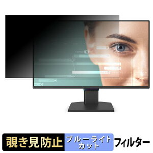 BenQ GW2490C �`�����h�~ �v���C�o�V�[�t�B���^�[ �u���[���C�g�J�b�g �ی�t�B���� �A���`�O���A �^�u�E�S���V�[����