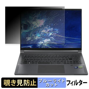 THIRDWAVE raytrek Mobile WorkStation M9621 �`�����h�~ �v���C�o�V�[�t�B���^�[ �y �^�u�E�S���V�[���� �z �u���[���C�g�J�b�g �ی�t�B���� ���˖h�~