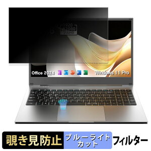 Dobios NQ716512JPVSM �`�����h�~ �v���C�o�V�[�t�B���^�[ �y �^�u�E�S���V�[���� �z �u���[���C�g�J�b�g �ی�t�B���� ���˖h�~