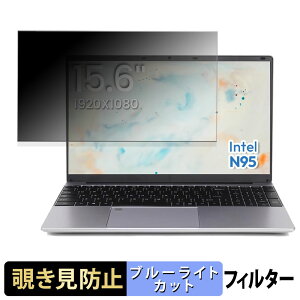 PASO ECO PR1597 �`�����h�~ �v���C�o�V�[�t�B���^�[ �y �^�u�E�S���V�[���� �z �u���[���C�g�J�b�g �ی�t�B���� ���˖h�~