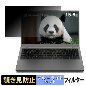 Wingame NCS215Y8G256 / NCS215Y16G512 �`�����h�~ �v���C�o�V�[�t�B���^�[ �y �^�u�E�S���V�[���� �z �u���[���C�g�J�b�g �ی�t�B���� ���˖h�~