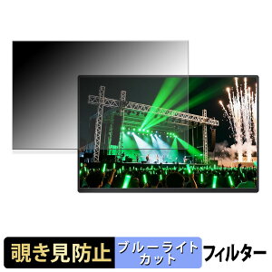 Vimonic VI60MT06-J �`�����h�~ �v���C�o�V�[�t�B���^�[ �y �^�u�E�S���V�[���� �z �u���[���C�g�J�b�g �ی�t�B���� ���˖h�~