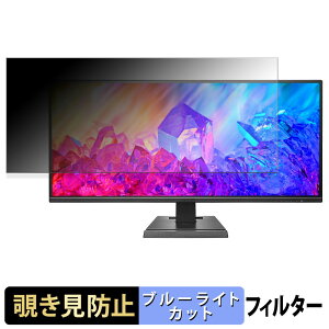 【ポイント2倍】 IODATA EX-LDGCWF291SDB 覗き見防止 プライバシーフィルター ブルーライトカット 保護フィルム アンチグレア タブ・粘着シール式