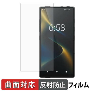 FiiO M33 R2R �ی�t�B���� �y �ȖʑΉ� ���˒ጸ �z �L�Y�C�� ���{��