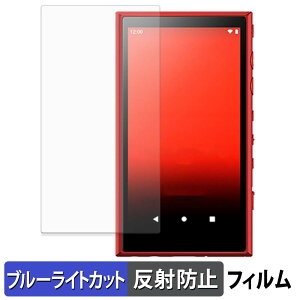 sony �E�H�[�N�}�� NW-A100�V���[�Y �ی�t�B���� �u���[���C�g�J�b�g �t�B���� �y �ȖʑΉ� ���˒ጸ �z �L�Y�C�� ���{��