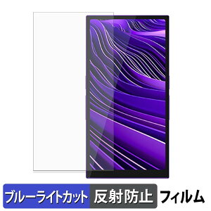 HiBy Music R6 Pro II / R6 Pro II 2025 �ی�t�B���� �u���[���C�g�J�b�g �t�B���� �y �ȖʑΉ� ���˒ጸ �z �L�Y�C�� ���{��