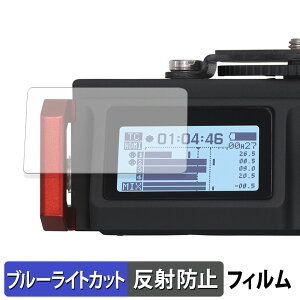 TASCAM �J�����p���j�APCM���R�[�_�[ �~�L�T�[ DR-701D �ی�t�B���� �u���[���C�g�J�b�g �t�B���� �y �ȖʑΉ� ���˒ጸ �z �L�Y�C�� ���{��