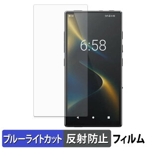 FiiO M33 R2R �ی�t�B���� �u���[���C�g�J�b�g �t�B���� �y �ȖʑΉ� ���˒ጸ �z �L�Y�C�� ���{��