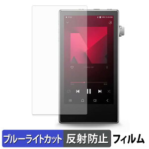 �y���������}���\���|�C���g2�{�z Astell&Kern PD5 �ی�t�B���� �u���[���C�g�J�b�g �t�B���� �y �ȖʑΉ� ���˒ጸ �z �L�Y�C�� ���{��