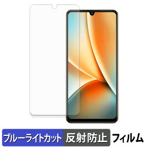 �y�|�C���g2�{�z vivo Y100 ������ �ی�t�B���� �y�ȖʑΉ� ���˒ጸ�z �u���[���C�g�J�b�g �t�B���� �L�Y�C�� ���{��