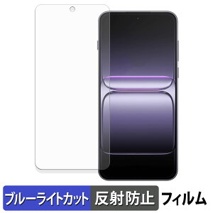 OnePlus Nord 5 �ی�t�B���� �u���[���C�g�J�b�g �t�B���� �y �ȖʑΉ� ���˒ጸ �z �L�Y�C�� ���{��