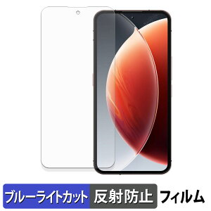 OUKITEL WP210 �ی�t�B���� �u���[���C�g�J�b�g �t�B���� �y �ȖʑΉ� ���˒ጸ �z �L�Y�C�� ���{��