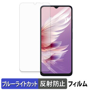 Ulefone Note 21 �ی�t�B���� �u���[���C�g�J�b�g �t�B���� �y �ȖʑΉ� ���˒ጸ �z �L�Y�C�� ���{��