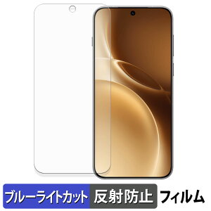 �y�|�C���g2�{�z vivo X300 Pro �ی�t�B���� �u���[���C�g�J�b�g �t�B���� �y �ȖʑΉ� ���˒ጸ �z �L�Y�C�� ���{��